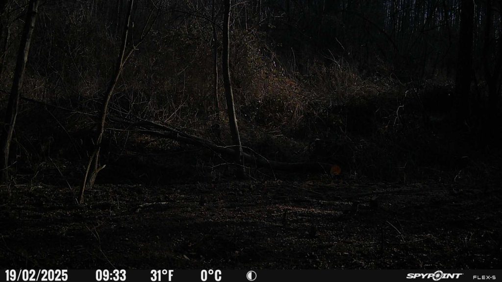 Photos