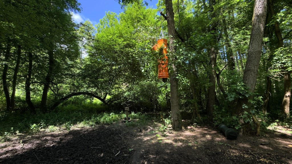 Photos
