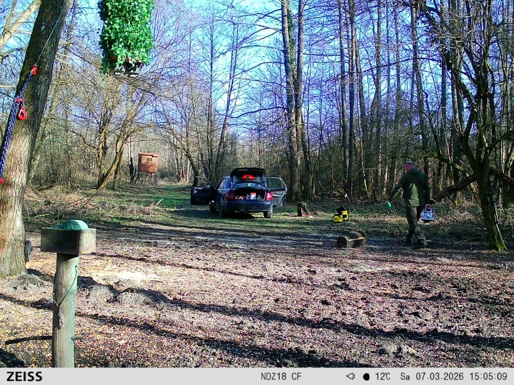 Photos